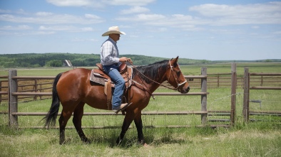 bear brand ranch