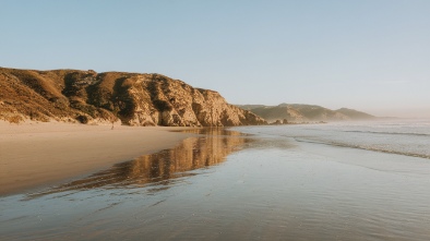 doheny state beach