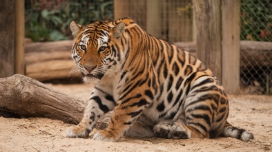 santa ana zoo at prentice park