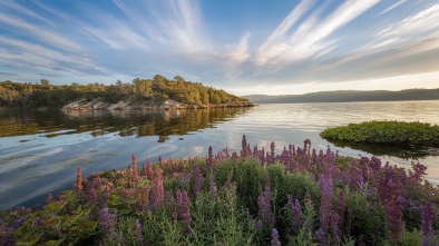 upper newport bay nature preserve